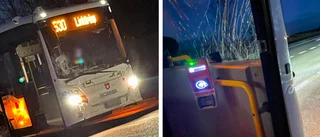 Buss krockade med två älgar i Linköping