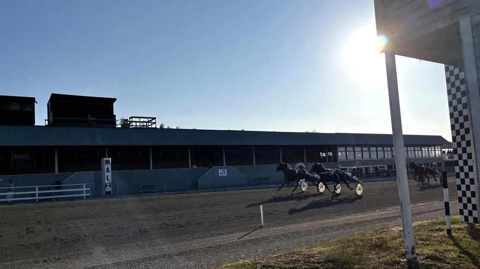 Bild från måndagens tävlingar på Visbytravet, där en tragisk olycka skedde i det första loppet. 