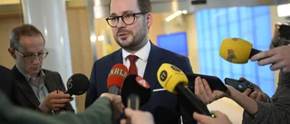 Nödvändiga åtgärder efter år av misslyckad invandringspolitik