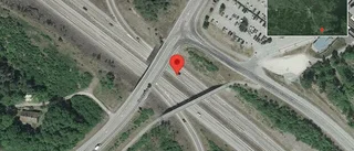 Trafikverket varnar för rådjur på vägen på E20