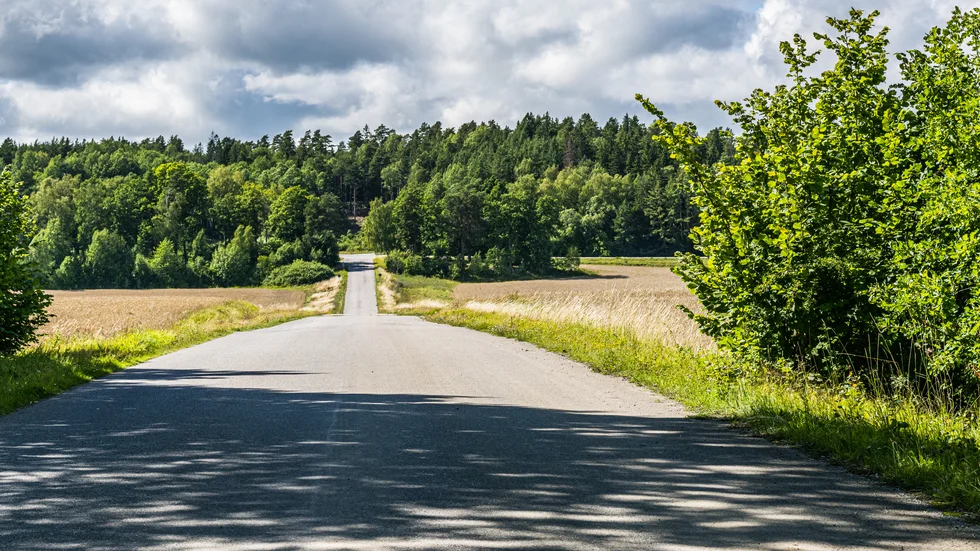 I närheten av Ösmo hittades en pojke mördad i en skogsdunge på lördagskvällen den 29 juli. Det visade sig senare vara den 14-åriga pojke som anmälts försvunnen från ett HVB-hem i Nyköping. 