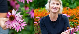 15 000 besökare väntas under lördagen – när Trädgårdsdagen utökas