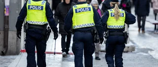 Svensk polis kan börja patrullera i Norge