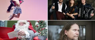 Razmus Nyström till Hemse, tomtemöte och Rootsy drar igång
