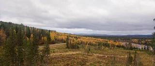 Höstskön bild från bergen ovanför Boden