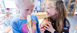 Stödet från EU:s skolprogram bör gå till nyttig frukt 