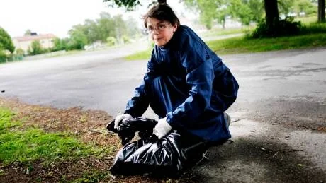 Veterinär. Christina Hoyle kallades i helgen till platsen och samlade ihop fåglarna som sedan kommer att skickas vidare till fastlandet för analys. Hon kunde inte se några skador på fåglarna och vågar inte spekulera i orsaken till fåglarnas död. foto: joel nilsson