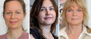Stopp för höga hus i Knivsta centrum – men inte för bilar