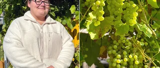 Josefine ärvde vindruvsodling – täcker snart hela huset