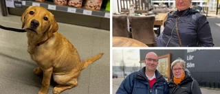 Black friday i Enköping: De köpte ett helt kök