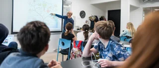 Så hade den svenska skolkollapsen kunnat undvikas