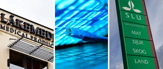 Flera Uppsalamyndigheter drabbade av it-attacken
