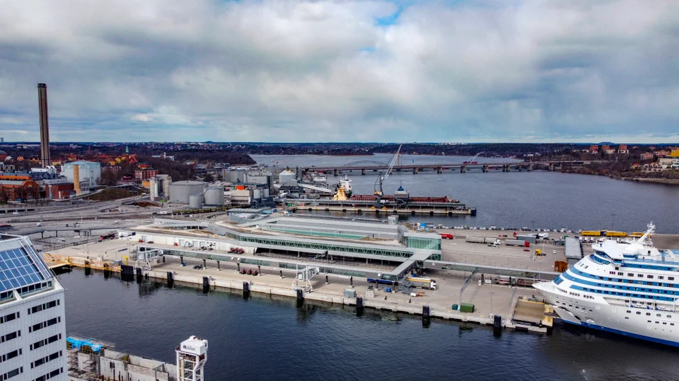 Fågeln, som bara setts en gång tidigare i Sverige, reste till Stockholm på på en Finlandsfärja. Arkivbild.