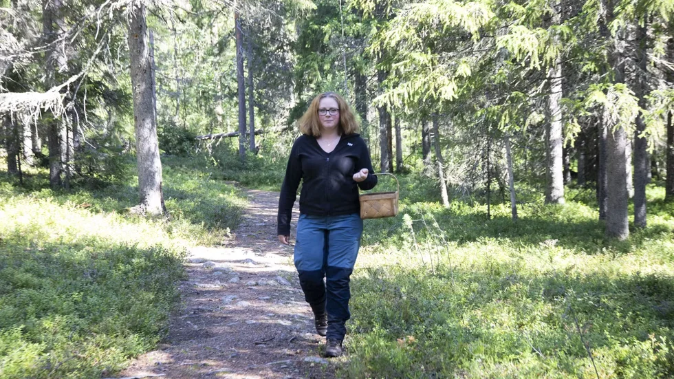 Svampkonsulent Sandra Holmblad tror att det kan bli en fin svampsäsong i år. "Nu börjar det röra på sig. Säsongen kan bli väldigt bra nu när det kommit en del regn", säger hon.