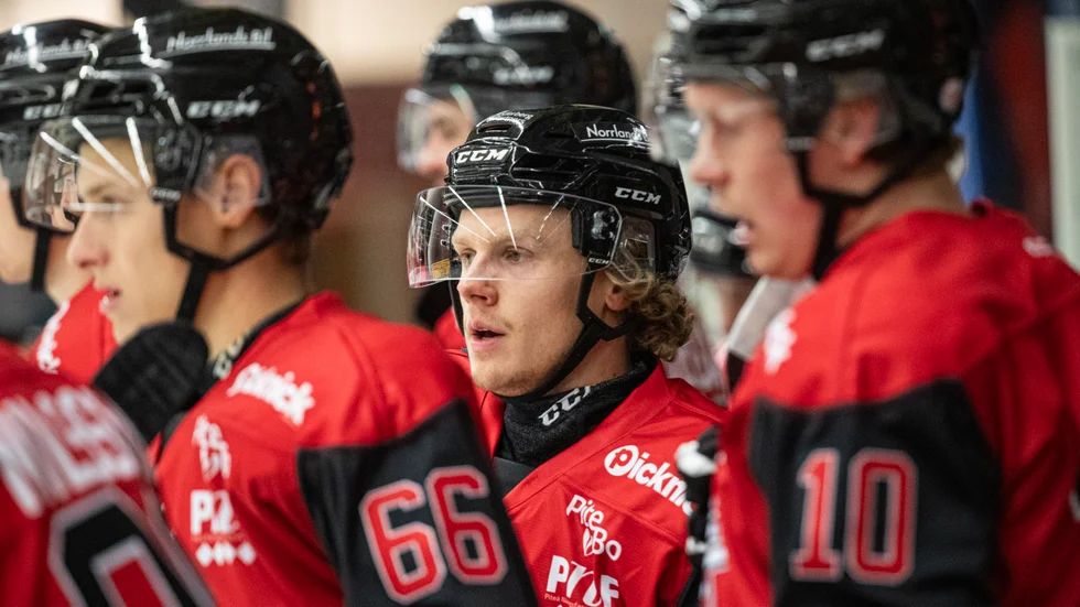 Piteå Hockey Linus Hedman