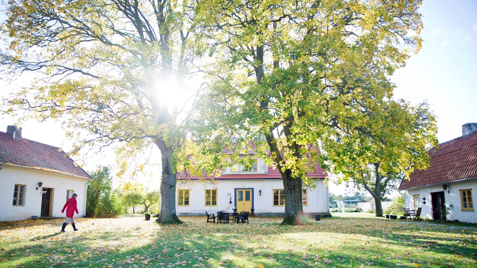 I oktober skrev Helagotland om ridinstruktören Hanna Engström i Hejde, som är en av de gotlänningar som hyr ut boende i andra hand via företaget Air bnb.