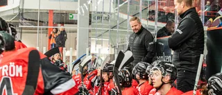 Tung bortaturné för Piteå Hockey – men slutspelsplatsen är klar