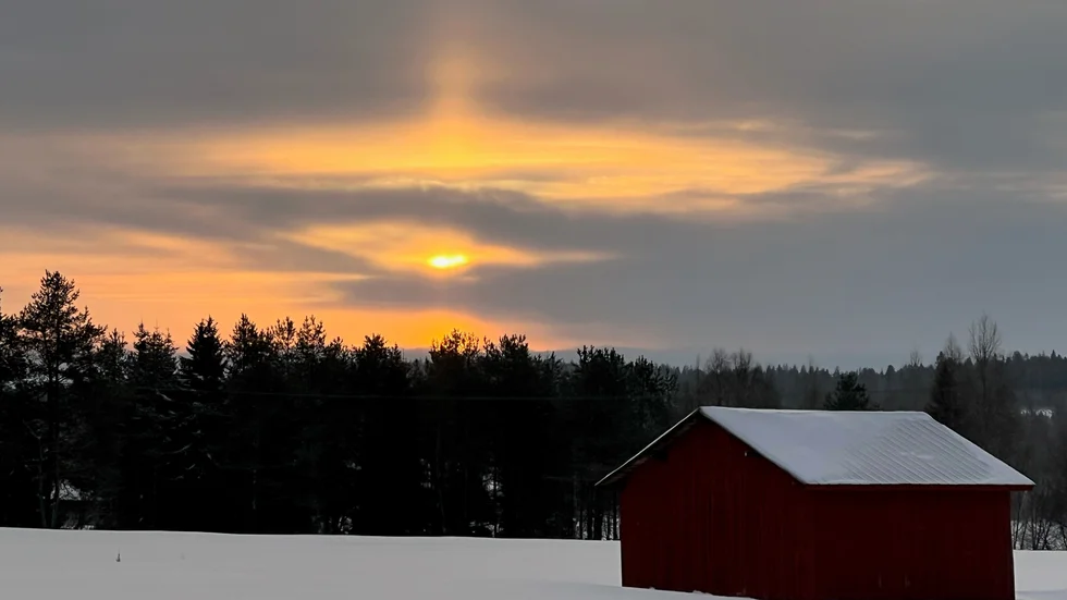 Börjelsbyn i eftermiddagsljus.