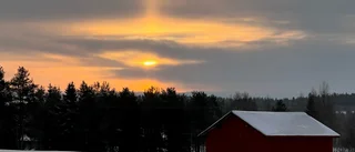 Börjelslandet en eftermiddag i ljus