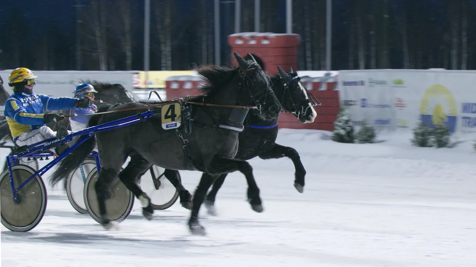 En förutsättning för att kunna arrangera ett vintertrav i Norra hamn i Luleå är att involvera Bodentravet. Liberalerna i Luleå har tidigare lämnat in en motion gällande istrav på Luleås centrumis, nu ska förslaget utredas ytterligare.