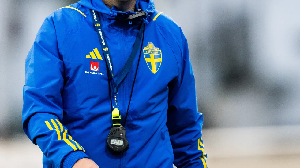 U21-landslagets assisterande förbundskapten Viktor Eriksson blir tillfälligt ledare för herrlandslaget under januarisamlingen.