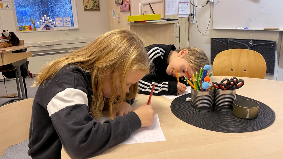 Skolan ska hjälpa barn att bli bra kompisar. För att göra det måste man få nötas mot andra. Och då måste det finnas andra att nötas mot.
