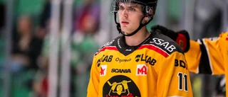 Efter oväntade beskedet – därför skiljs Luleå Hockey och Pasic åt