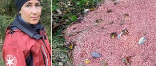 150 kilo giftigt avfall dumpat i naturreservat