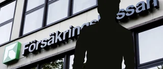 Anställd vid Försäkringskassan i Luleå gjorde olaglig sökning