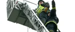 Sju testade brandyrket