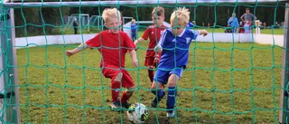 Fotbollsfesten: 20 bilder från en solig och rolig cuplördag