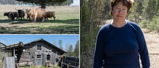 Kalhyggen inget alternativ för Helénes turistverksamhet