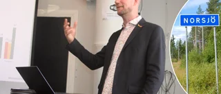 Så ser företagsklimatet ut i Norsjö 