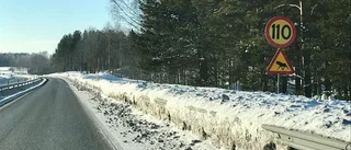 20-åring avled efter viltolycka