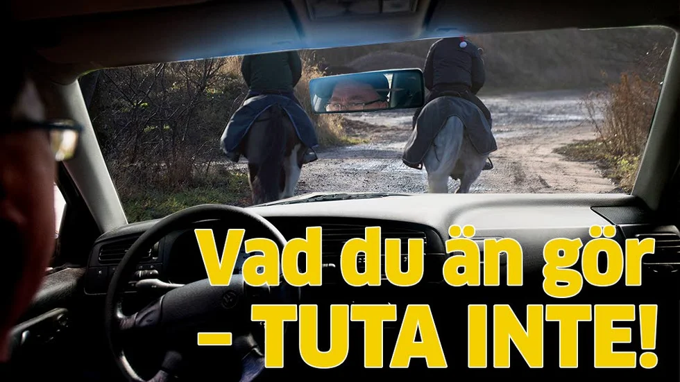 Hästar är flyktdjur. Hästens reaktionsförmågan är otroligt snabb, den kan ändra både riktning och tempo på mindre än en sekund.