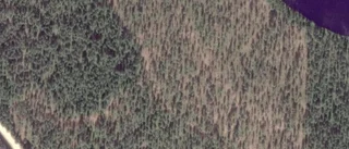 60-åring ny ägare till gård i Pajala kommun - 2 500 000 kronor blev priset