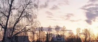 Läsarbild: Bodån i Boden