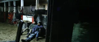 Arga lappar och spydigheter vardagsmat i stallet