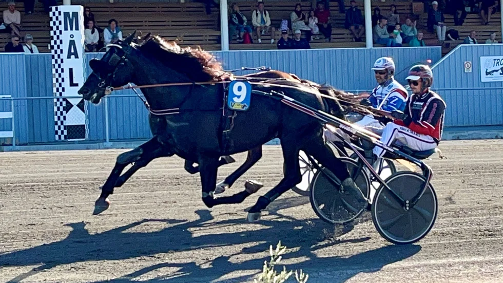 Målgång på Visbytravet.