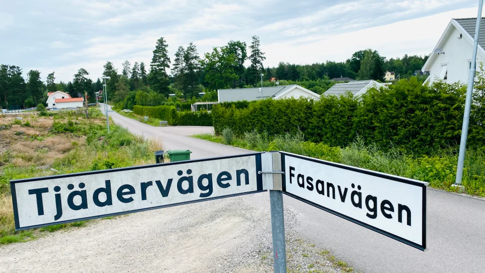 Tjädervägen och Fasanvägen i Odlaren får i höst sällskap av fler fågelnamn.