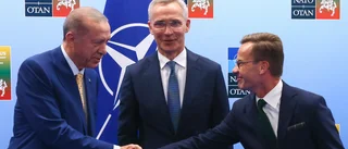 KLART I KVÄLL: Turkiet godkänner Sveriges Nato-ansökan