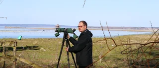 Fågelklubbens tuffa kritik: "Oförmåga hos Länsstyrelsen"