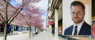 Nyforstrio häktad för vapenbrott och mordplaner