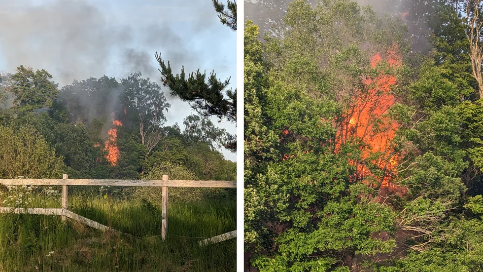 Kraftiga lågor syntes i skogen där ladan fattat eld.