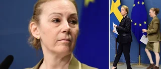 Generaldirektören slutar – beslutet fattat av regeringen