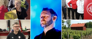 Här är ny omgång med Lördagsquizet – tävla och vinn biobiljetter!