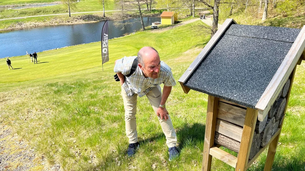 Leif Lundberg kikar in i ett av golfbanans insektshotell som de kommittén har byggt av spillvirke. 