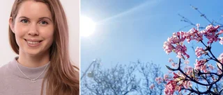 "Officiellt sommar" i Uppsala – så blir vädret i veckan