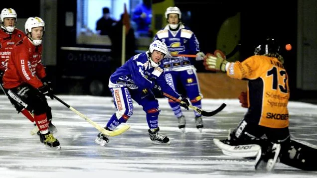 Bild: ÅKE KARLSSON
