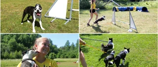 Maria och Harry klara för junior-VM i agility